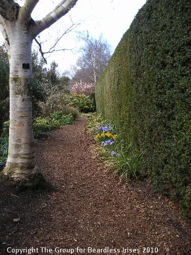 Cambridge Botanic (2)